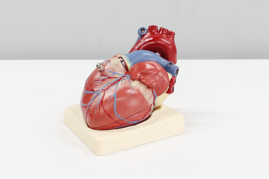 Santé cardiovasculaire